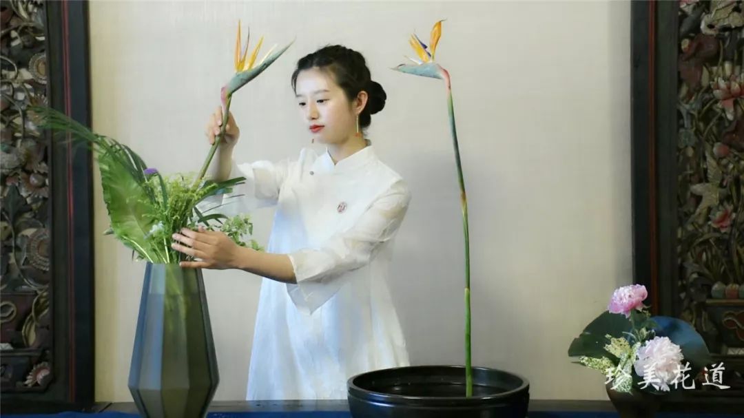 珍美花道教你中式插花:盘花高兀体