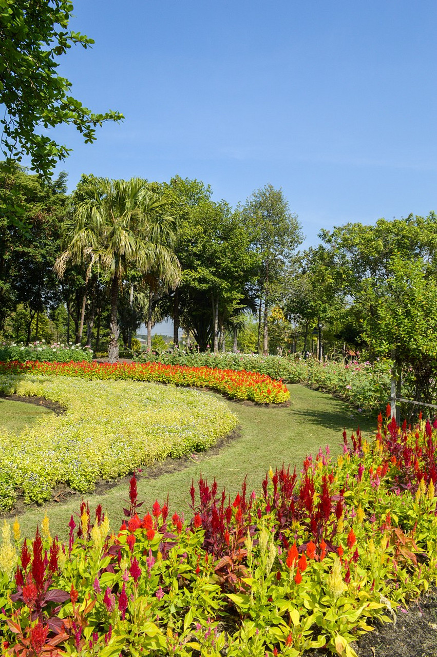 湖南省森林植物园,位于长沙市雨花区,是一座集植物科学研究,观赏和