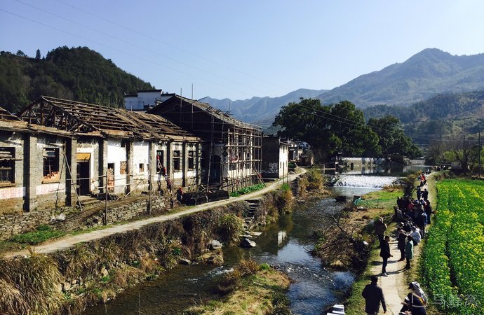 虹关,千年的香樟树,千年的墨香