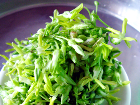 每回遇到这菜必买,即清肝明目,又除口臭,味道鲜美,就是太少见