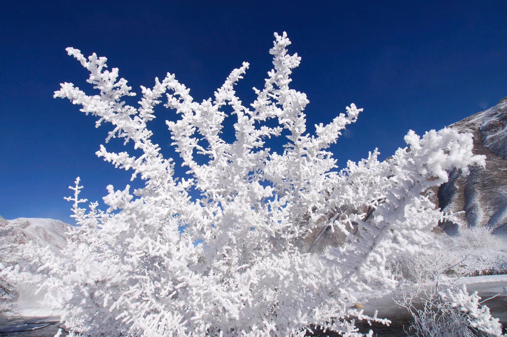 赏玉树三江源冰雪花(七律)
