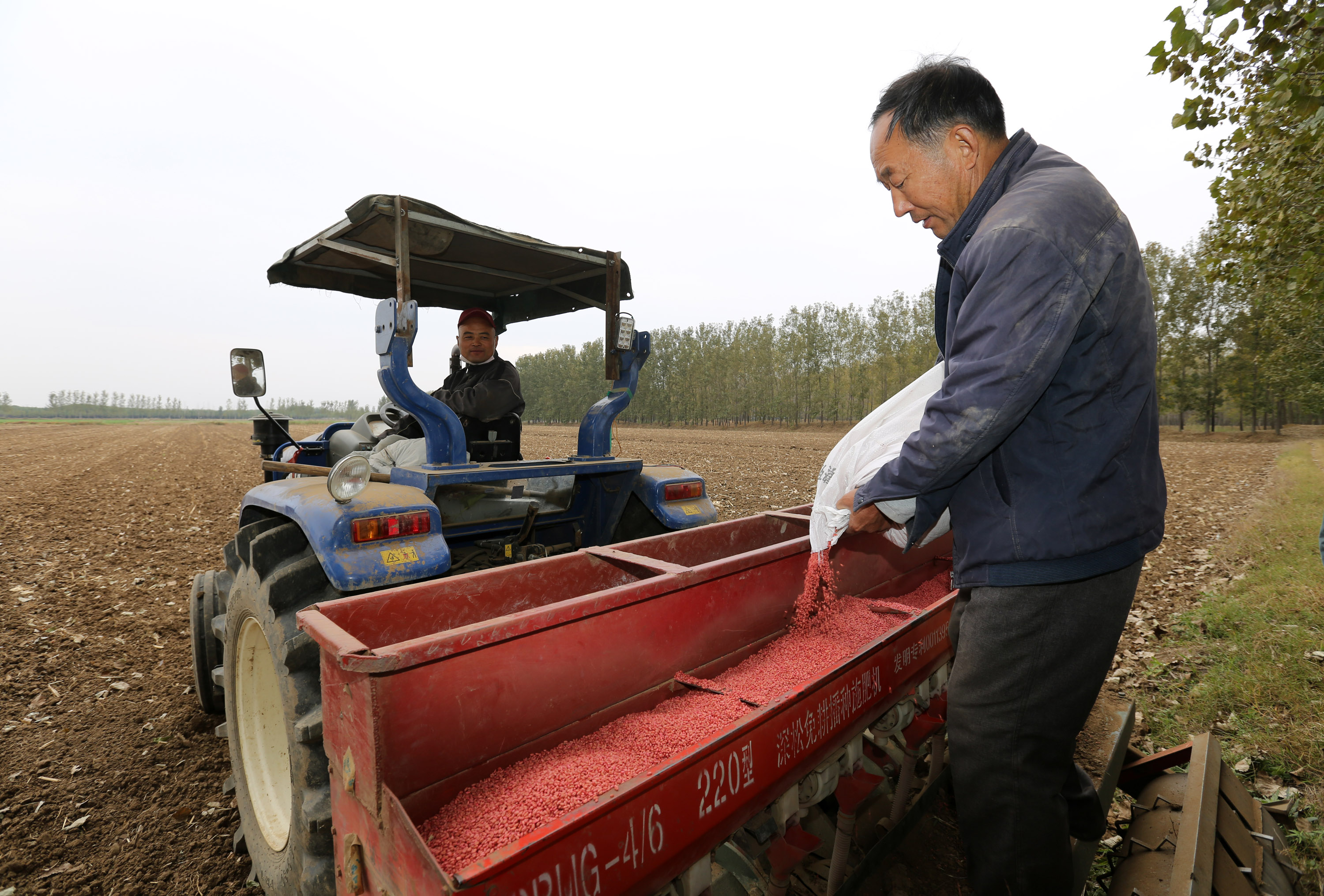 家庭农场秋播忙