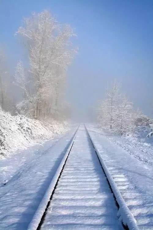 摄影达人最爱的"线条构图",怎么拍都高大上!