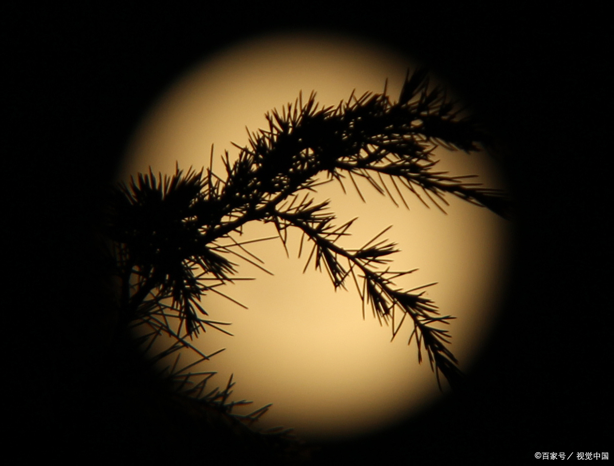 一窗清风可醉月(原创)