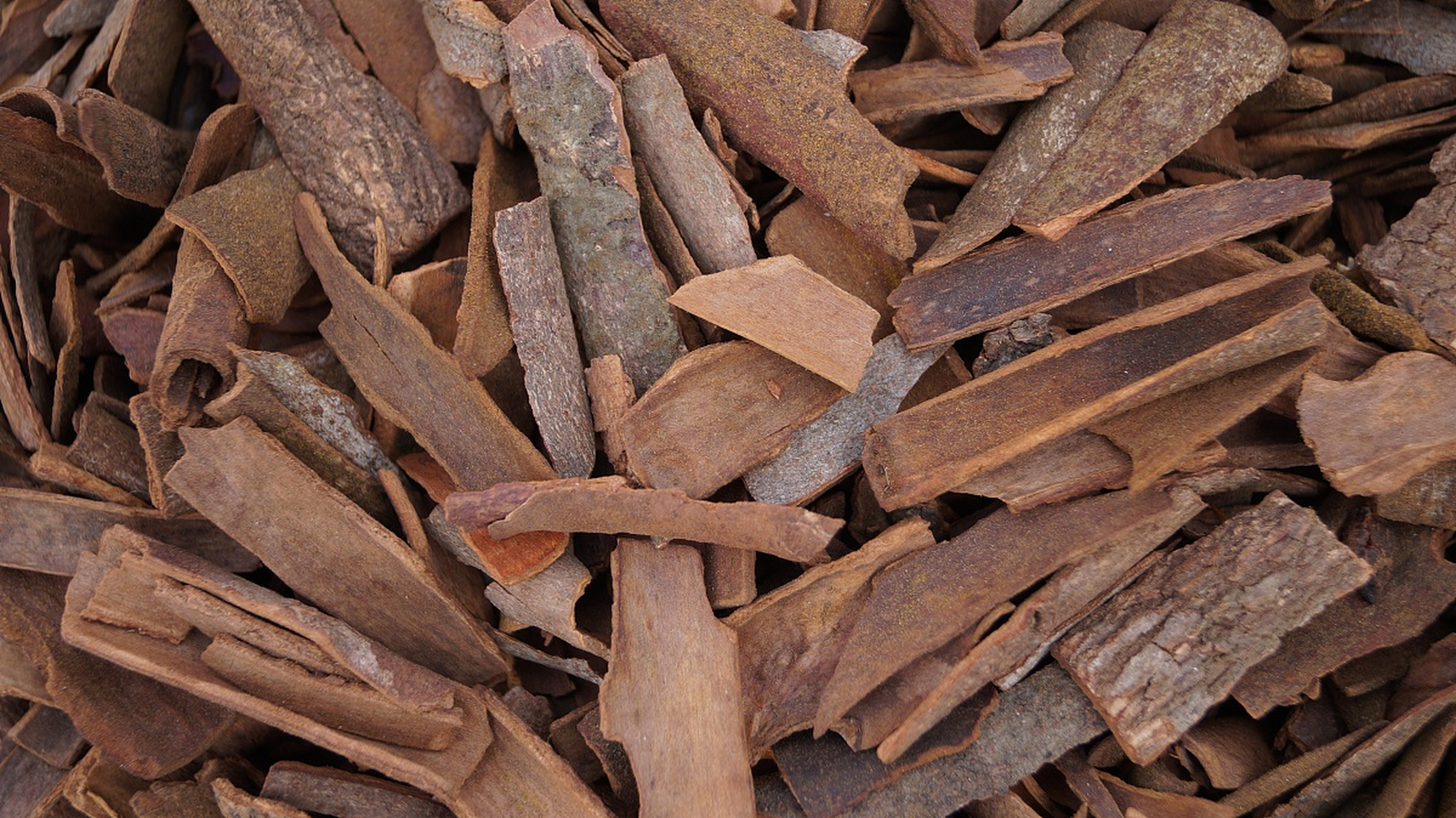 杜仲的故事  在很久以前,洞庭湖的货运主要靠小木船进行,船上的纤夫们