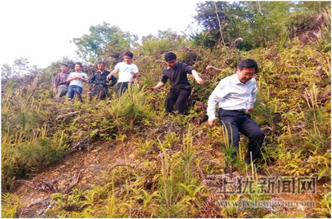 郭知明在上犹县黄埠镇地质灾害点调研