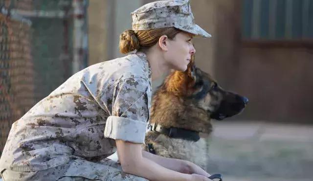 想催泪煽情的《战犬瑞克斯》,有可能"用力过猛"了