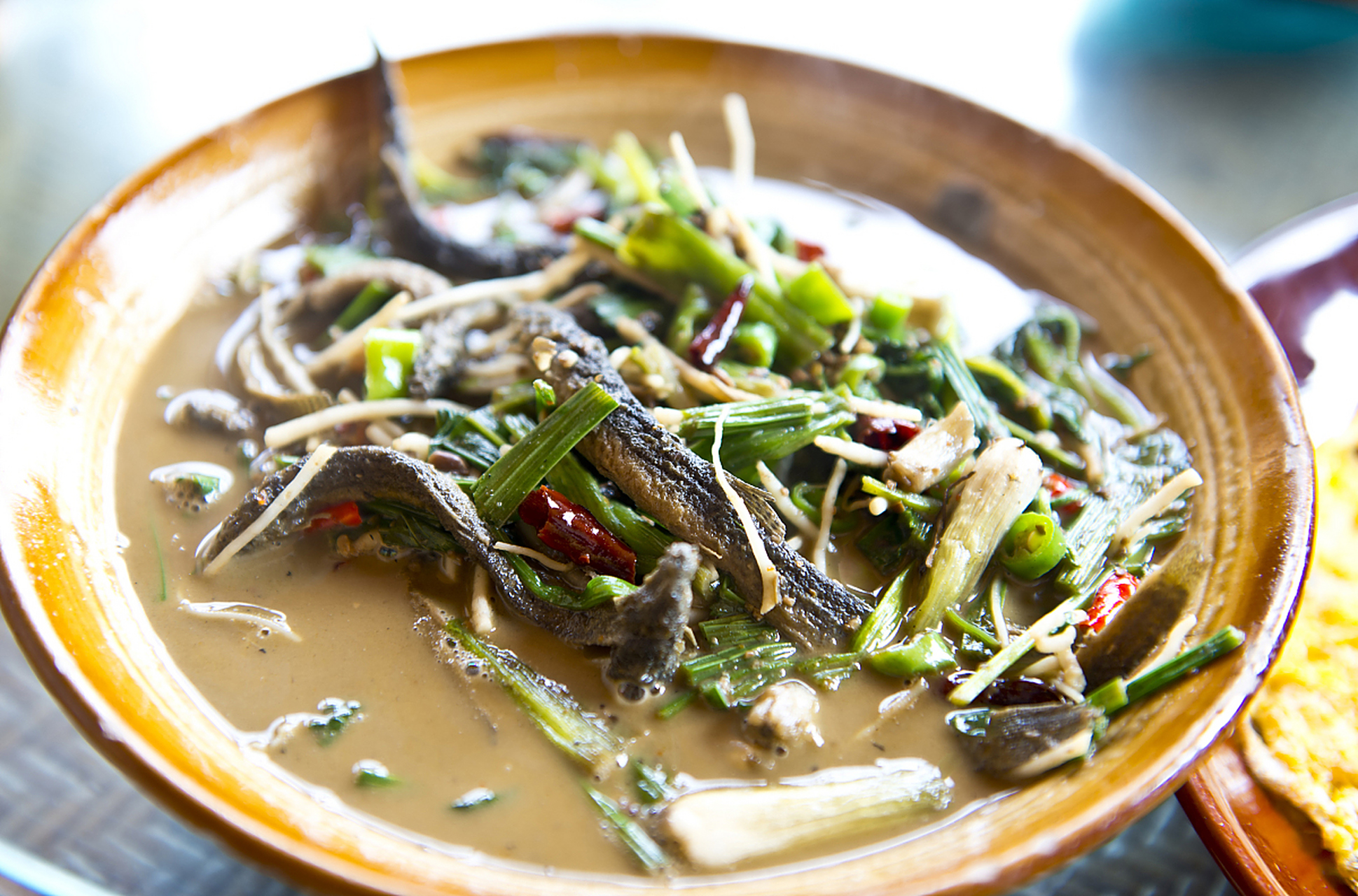 泥鳅作为一种营养丰富且味道鲜美的水产食品,具有很好的补肾作用.