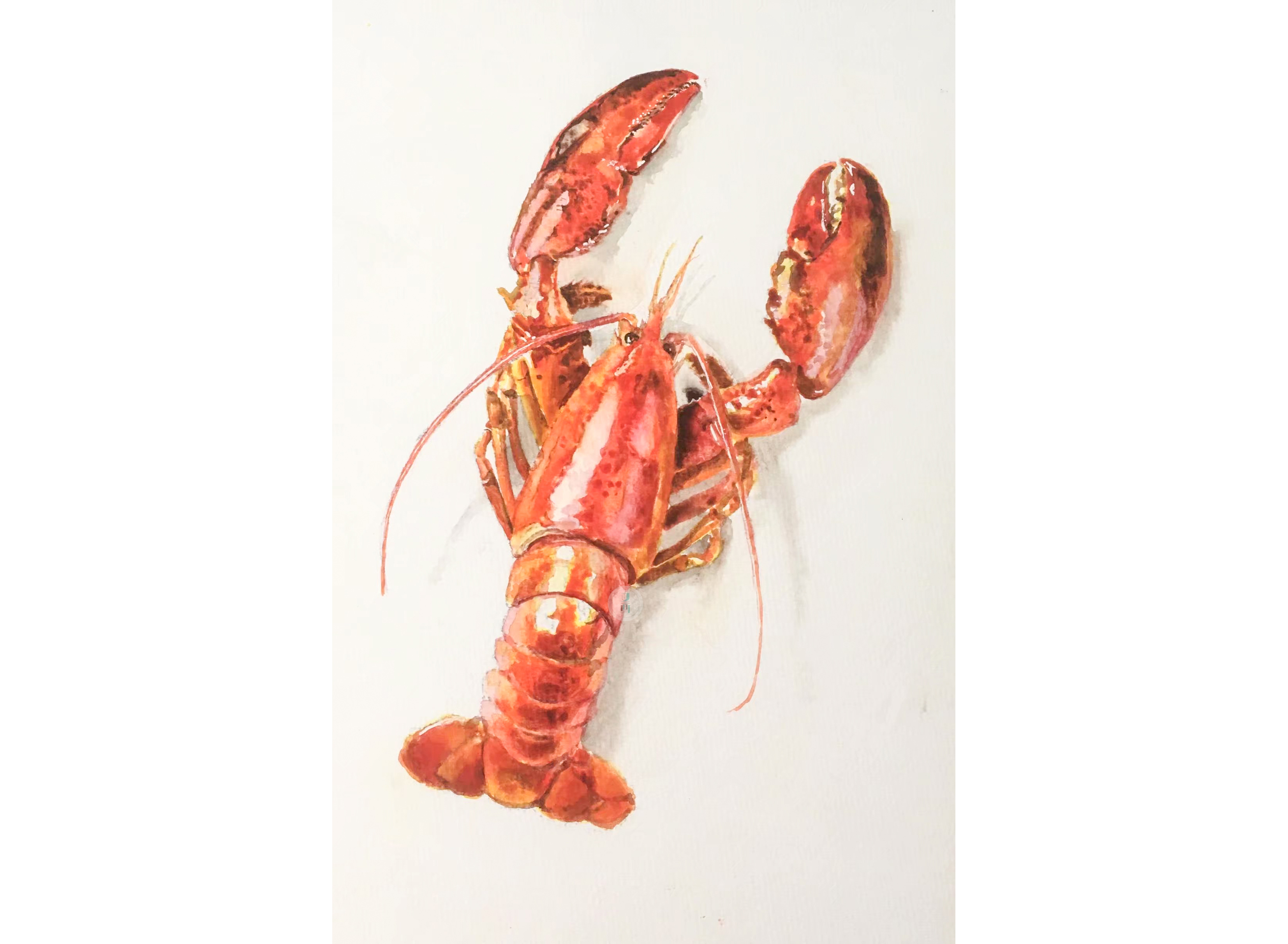 绘画 | 水彩画小龙虾步骤分享