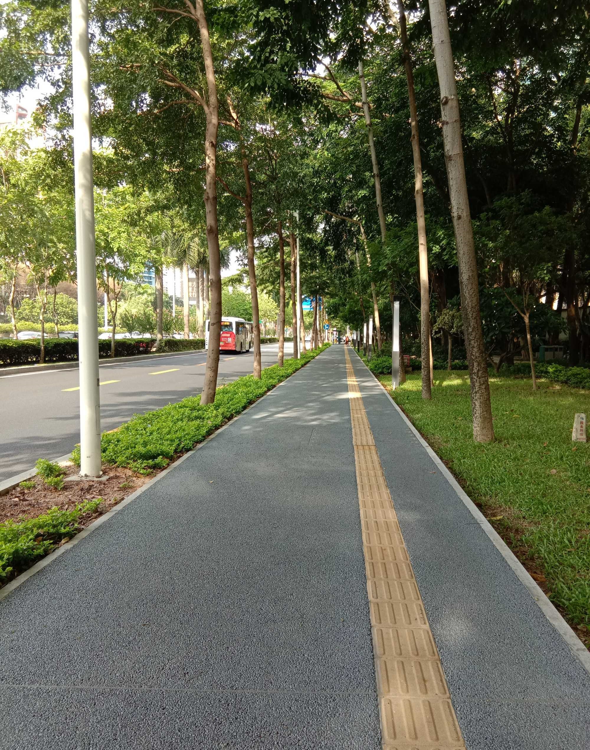 在深圳马路上看到一个背影,我决定换个地方!