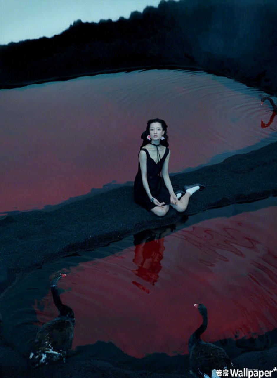 杜鹃黑天鹅大片#  杜鹃登上《wallpaper*卷宗》4月刊封面,红湖边岛谮