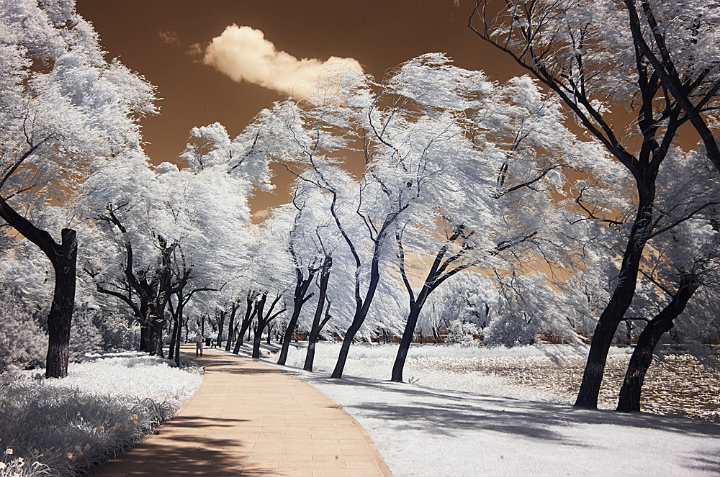 神秘的"红外线拍摄",你有了解过吗?