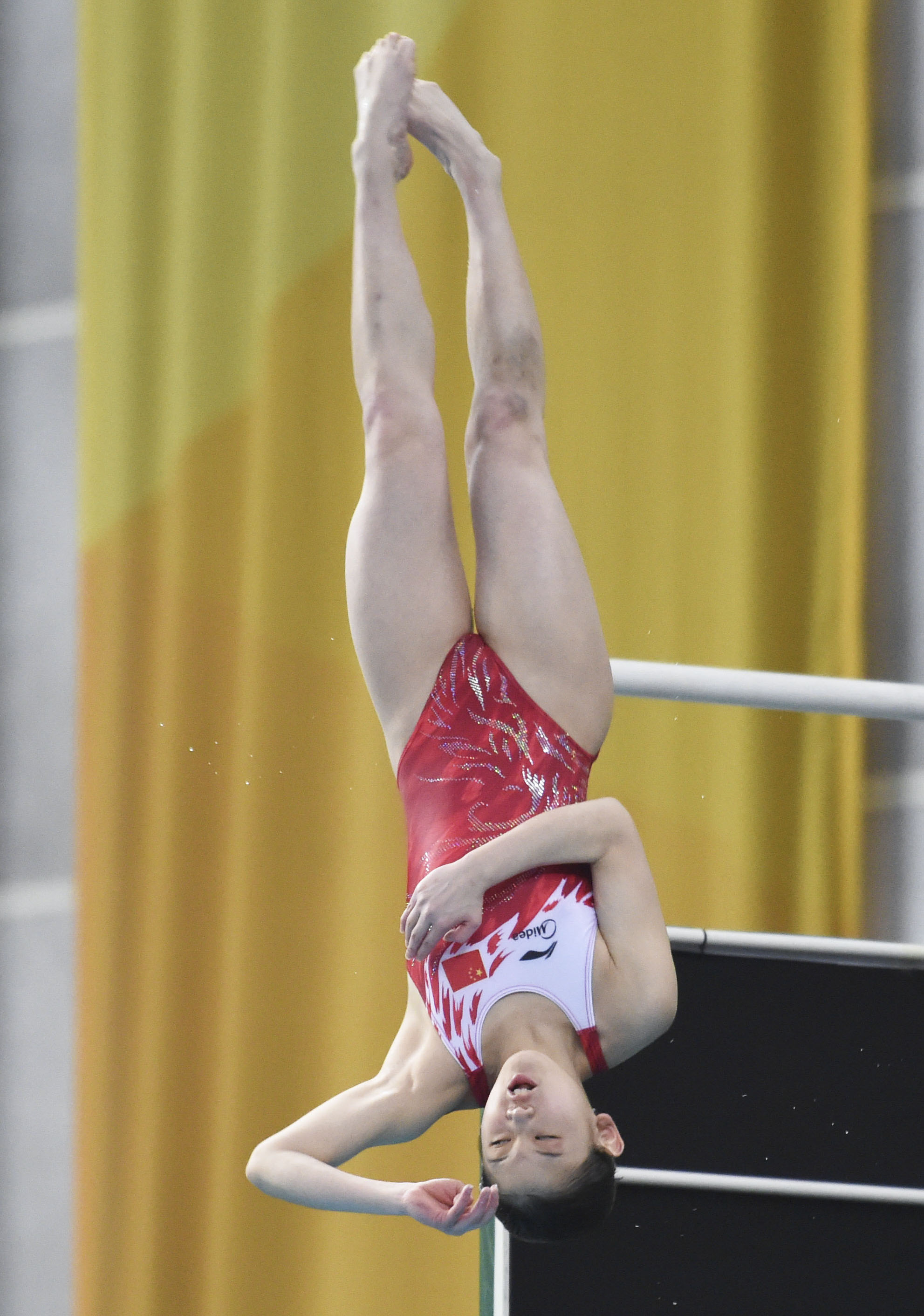 跳水—国际泳联系列赛:张家齐获女子10米跳台冠军