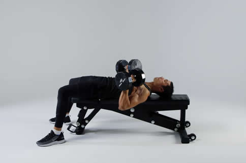 哑铃平板卧推正确动作讲解