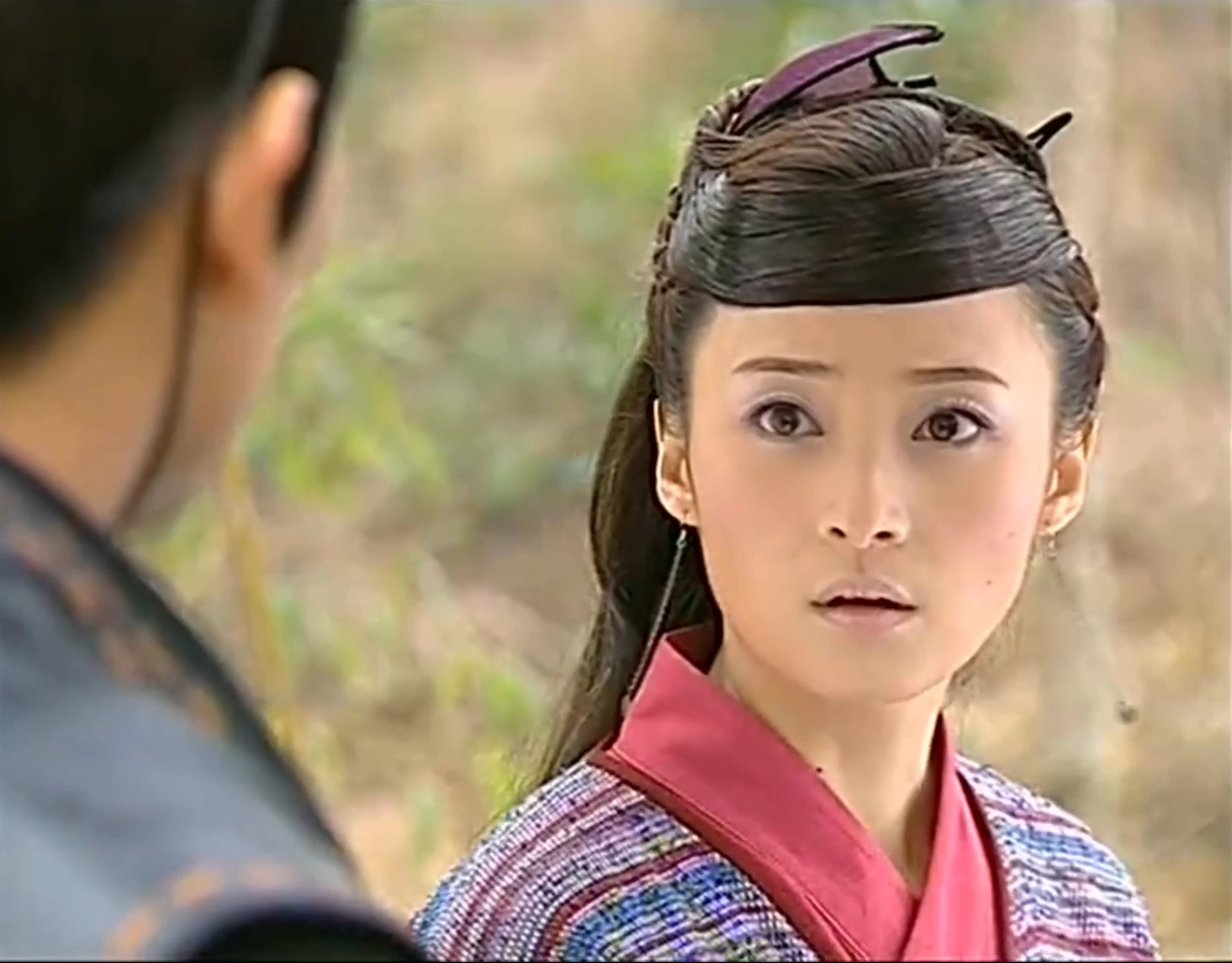 四大名捕饰演花蝴蝶