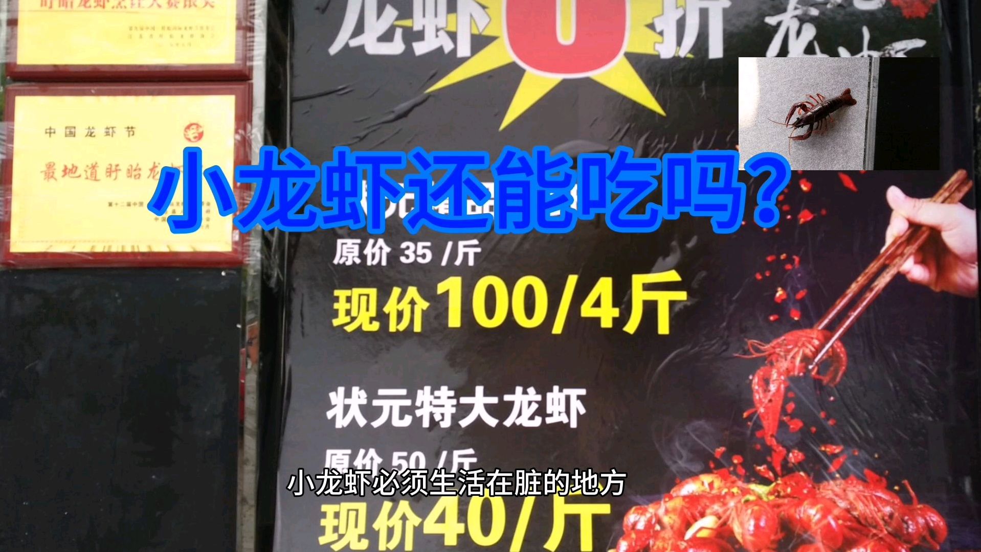 春天来了,有人说小龙虾喜欢脏的环境,小龙虾还能吃吗
