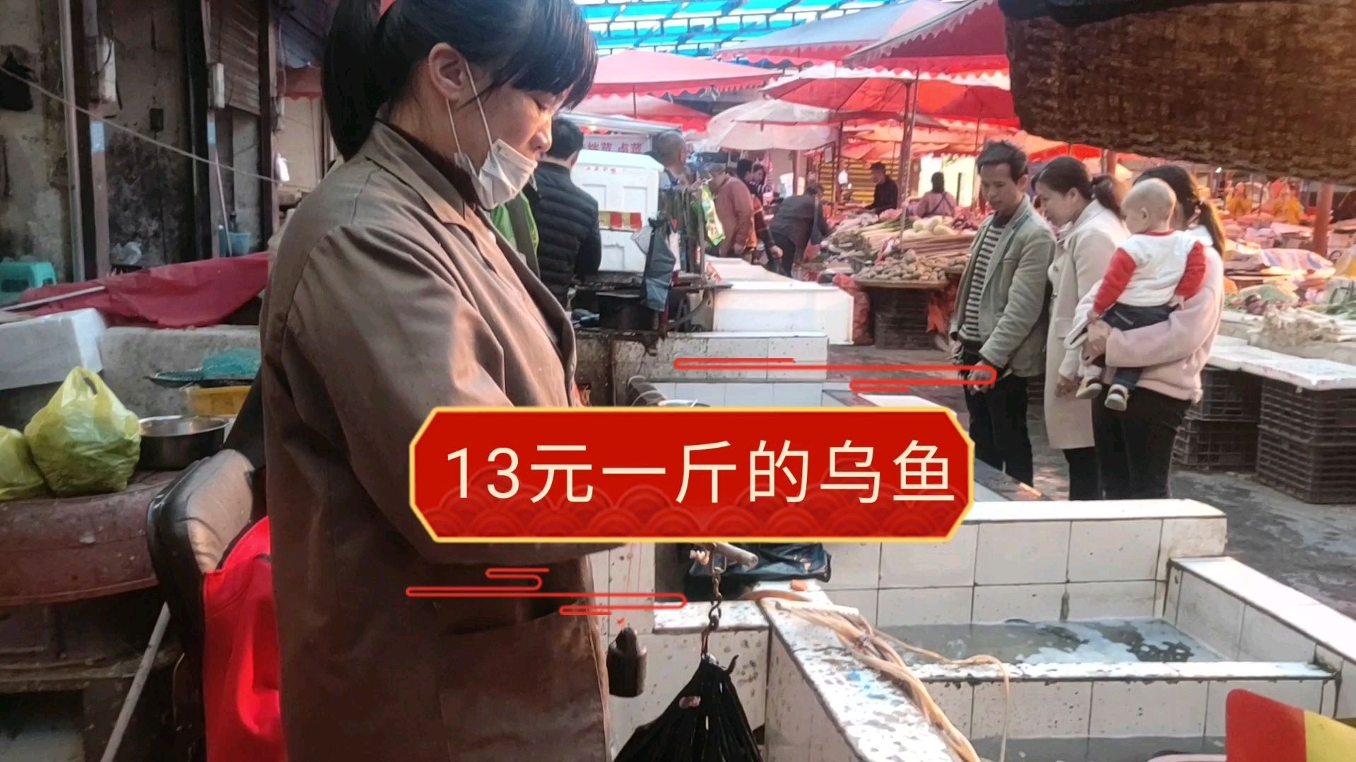 今天阿茂和同事去市场买鱼吃,十三元一斤的乌鱼贵不贵