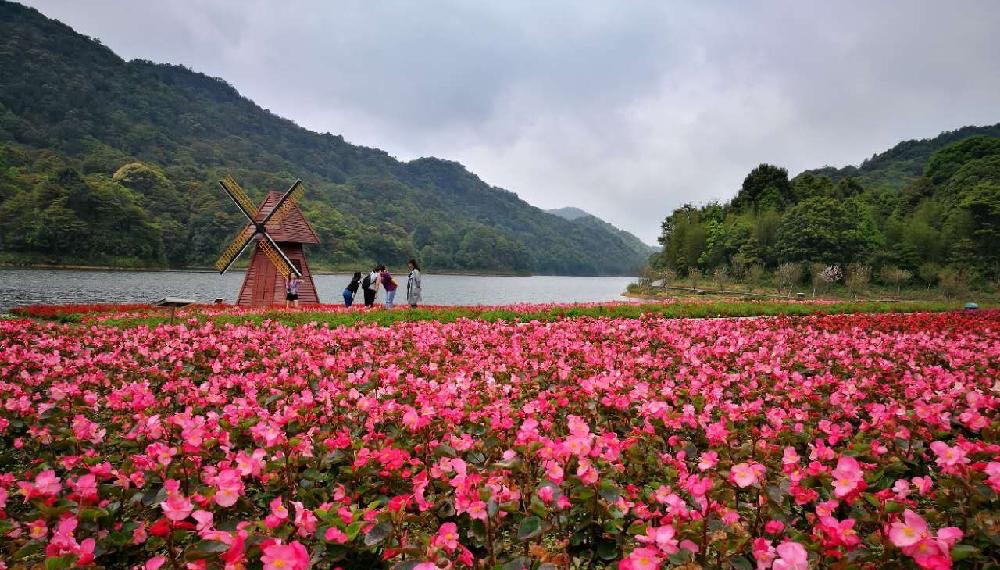 廣州石門山森林公園,名副其實的森林公園!