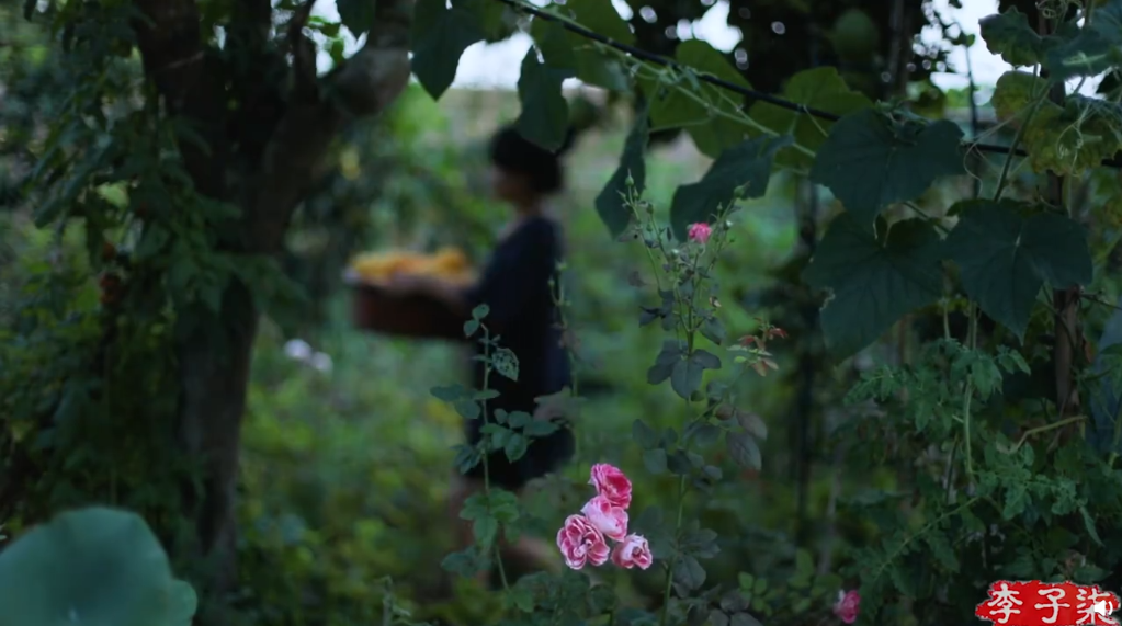 李子柒的小院,真美