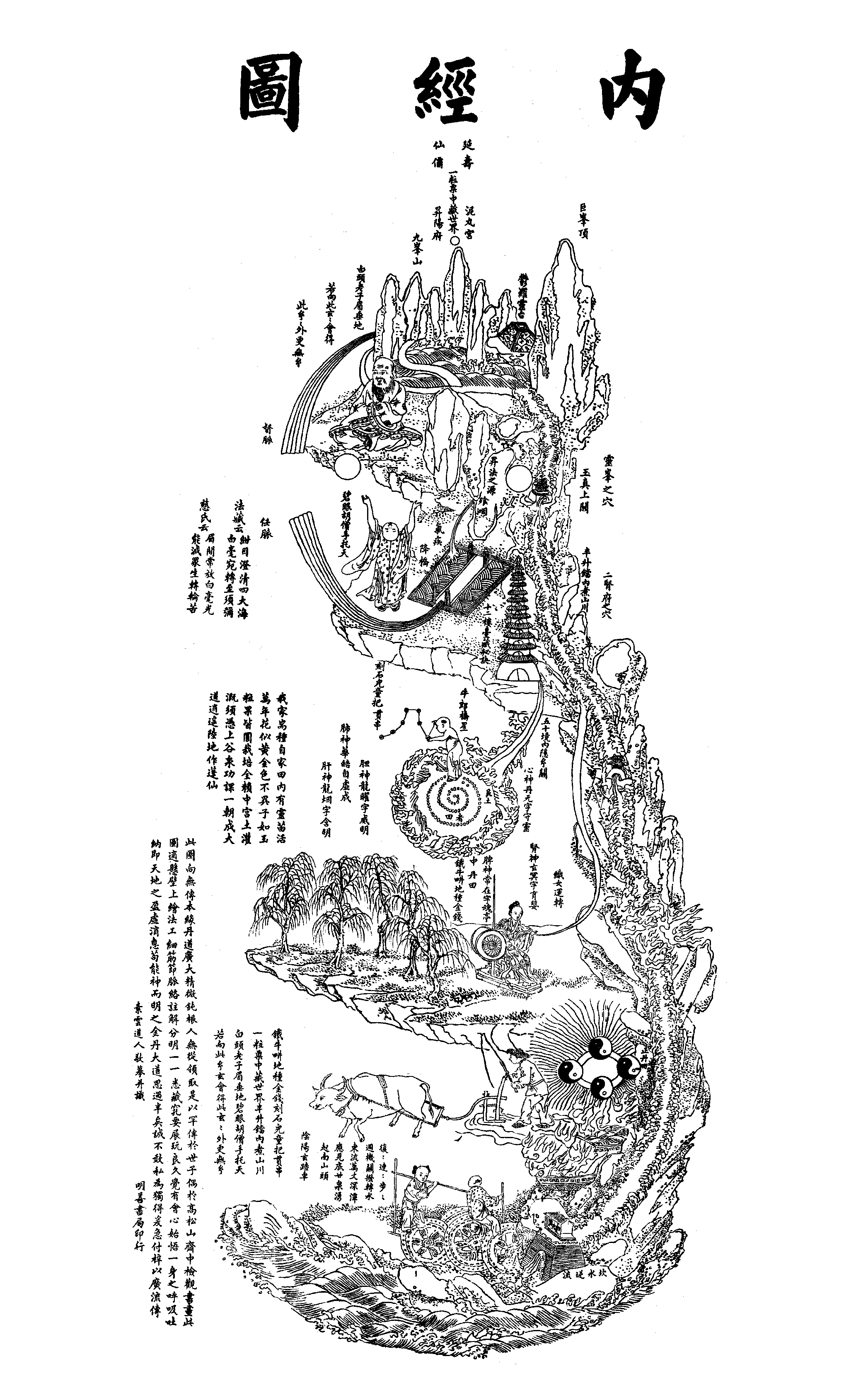 丹田的具体位置图片图片