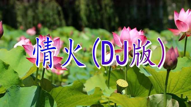 [图]动感DJ舞曲，崔伟立《情火》旋律超美，越听越好听，只想单曲循环