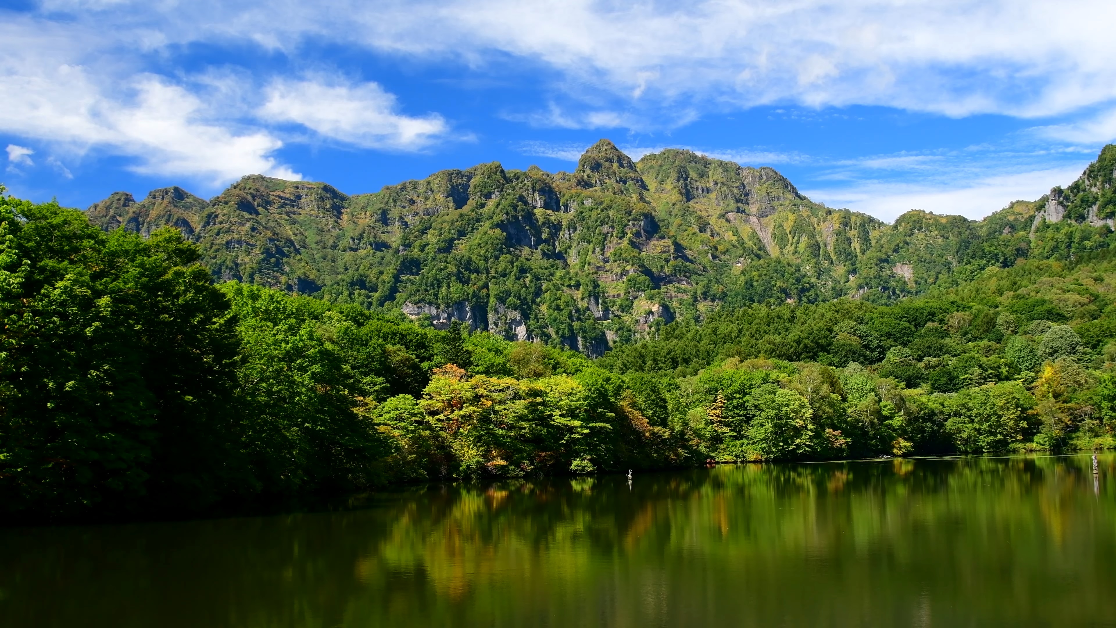 夏季| 自然风景