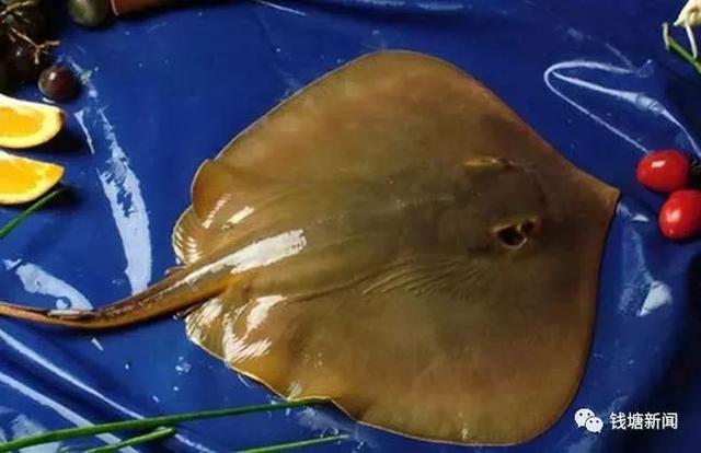 路上拍到满满一车像巨型蝙蝠的"怪鱼"!网友却关心