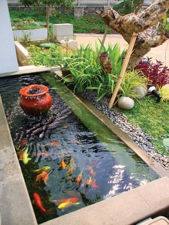 庭院花园里的荷塘鱼池,没想到防腐木也能被用在鱼池的装修设计上