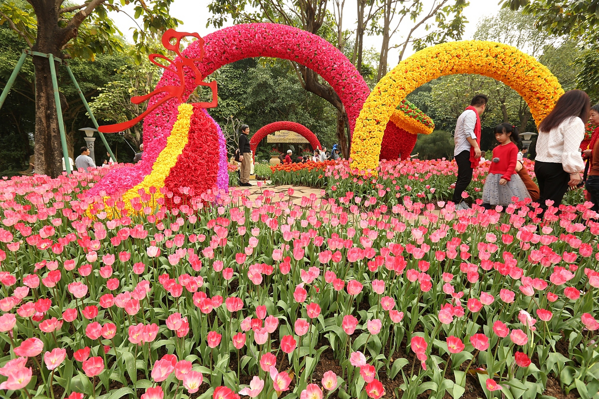 南宁花花大世界,一个集生态观光旅游,户外亲子运动,婚礼婚庆盛典,科普