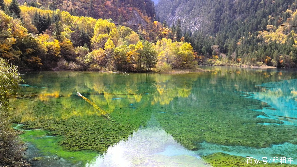 7月8月出国适合去哪里旅游(7月8月出国适合去哪里旅游好)