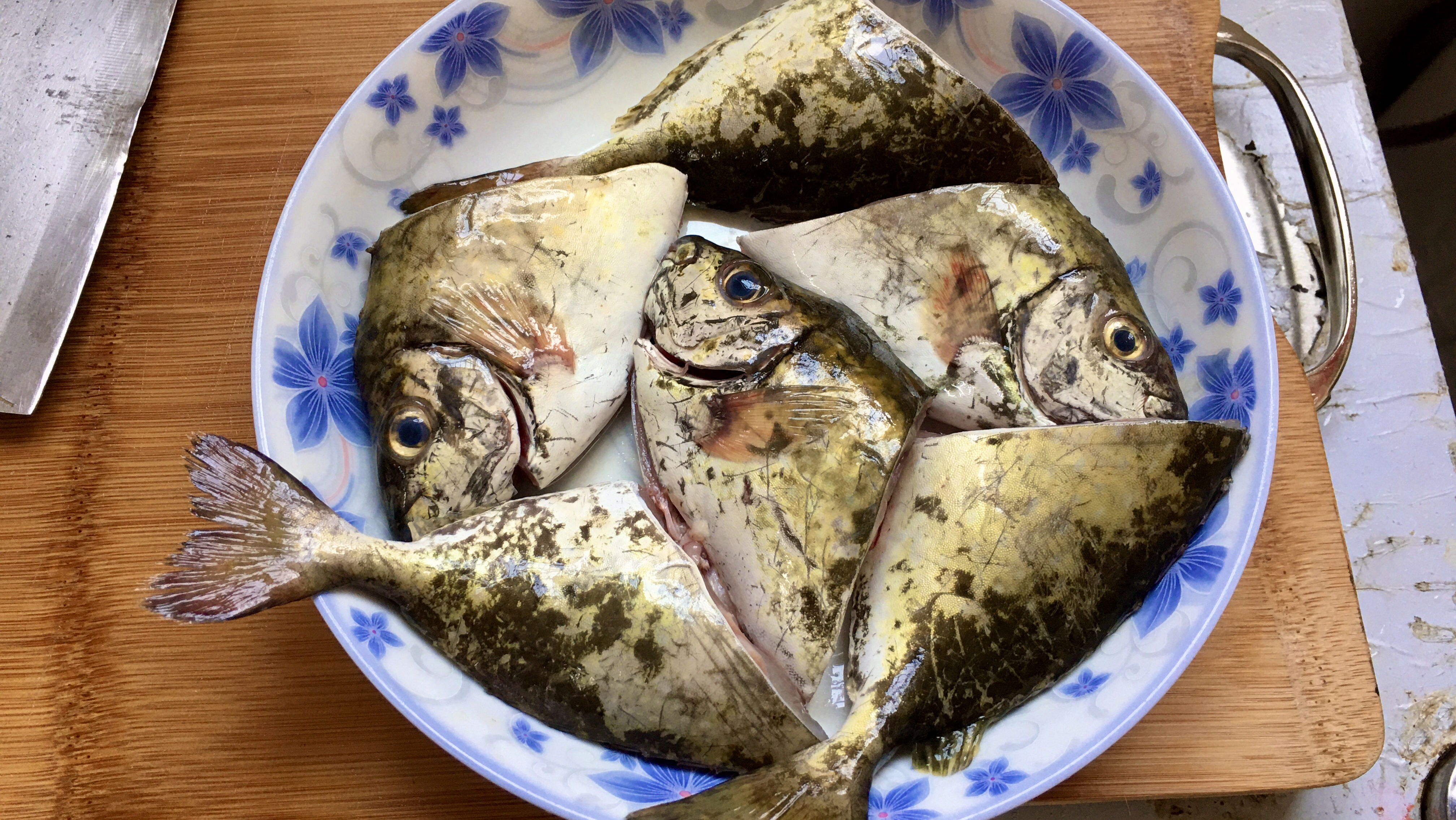 泥猛鱼的正确做法,潮汕做法,肉质酸爽无腥味,一人10斤不够吃