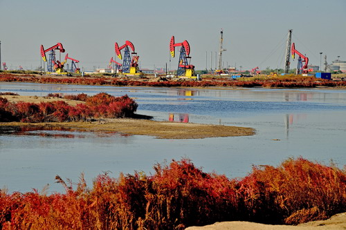 大港油田打造高质量发展强大引擎