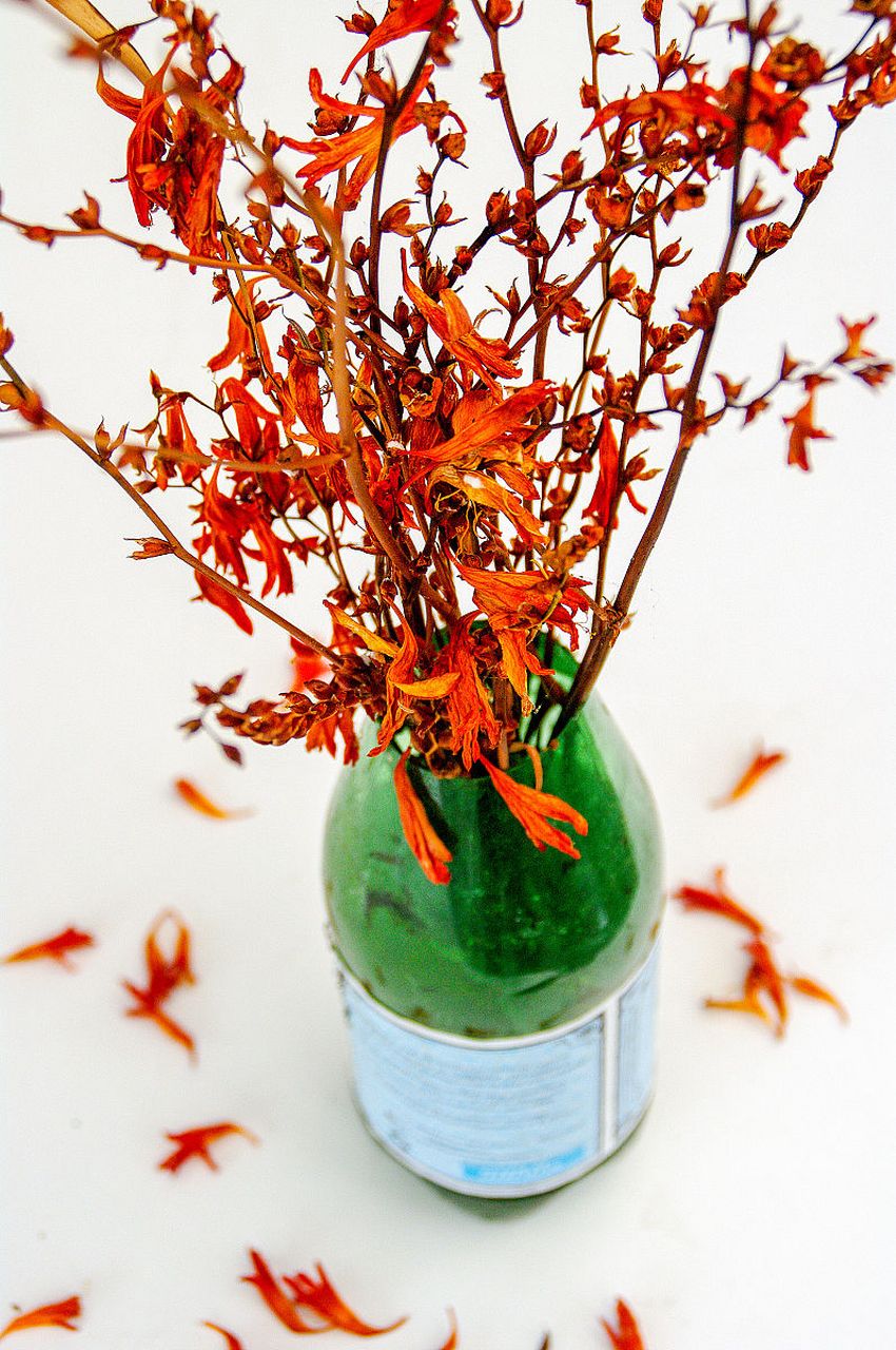 新春年货不打烊# 分享新年好运好意头的年宵花:银柳 听说银柳的花语