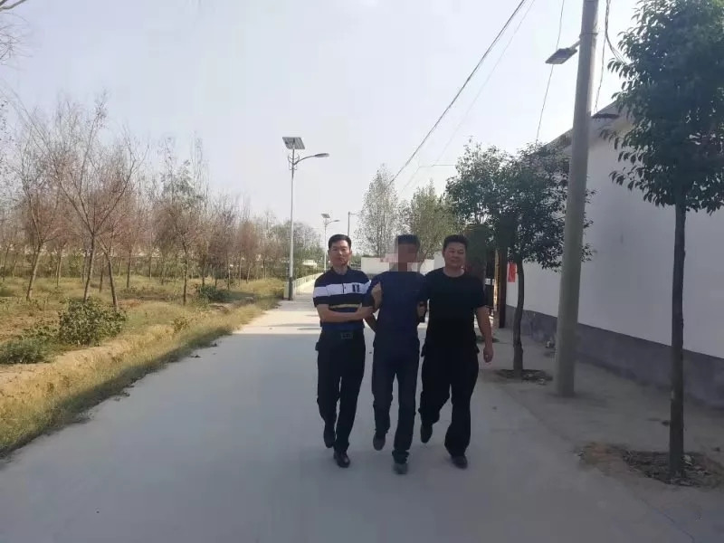 方城独树李春堂照片图片