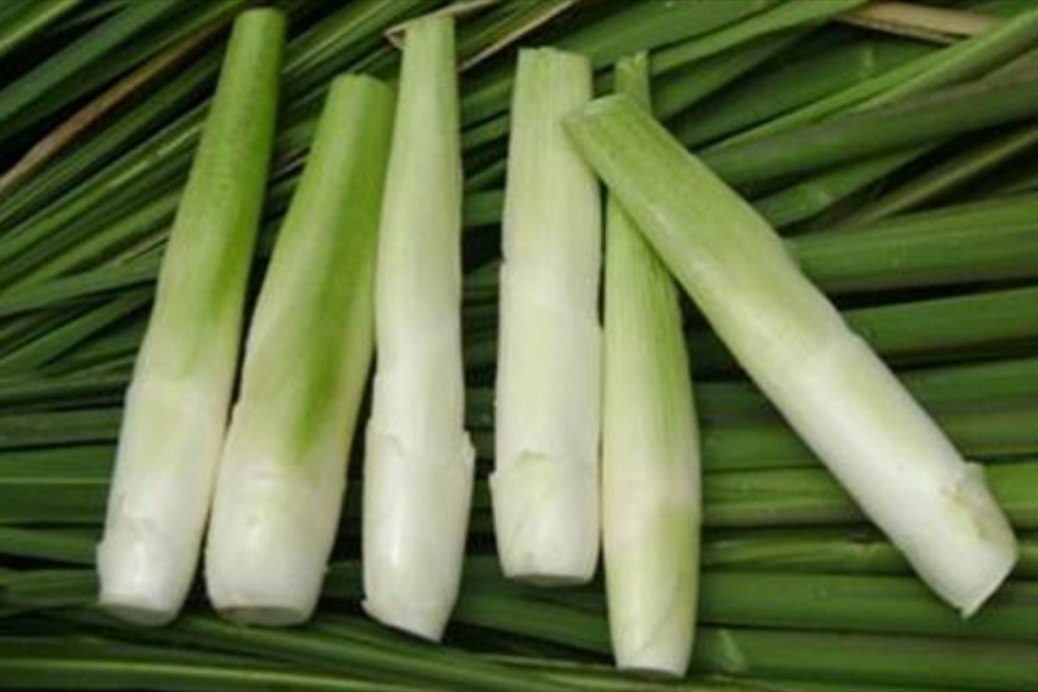 12 - 热门商品专区