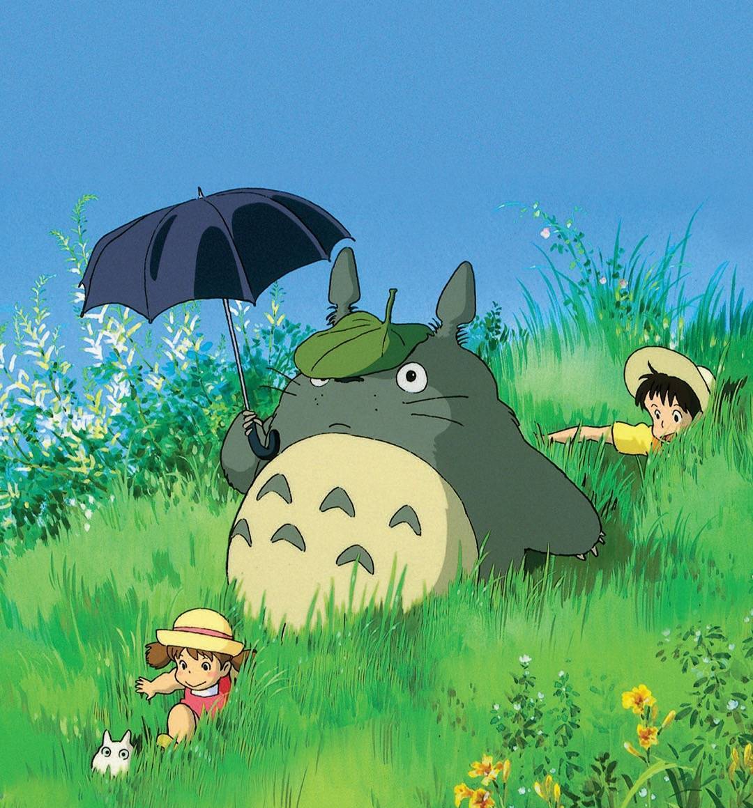 龙猫,陪伴长大的治愈系动漫,找回童年乐趣