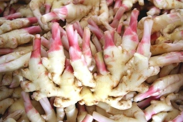 福宝山莼菜相传为古代神山所赐,是水中一珍,自晋代以来为历朝皇宫御案