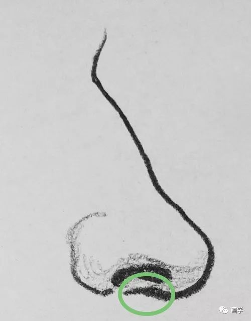 超简单!教你画出侧面,最有气质鼻子「真干货」