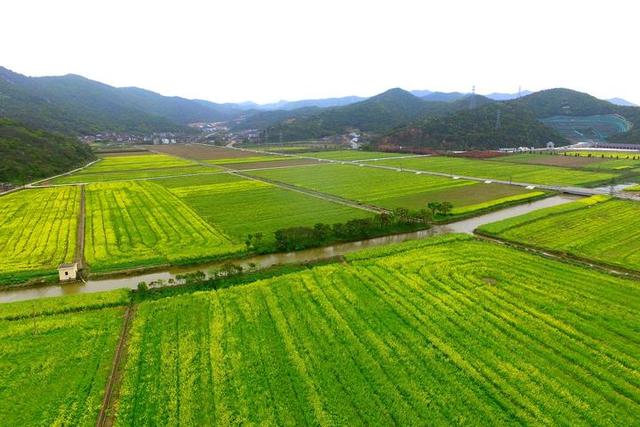 今年,定海區小沙街道圍繞全市