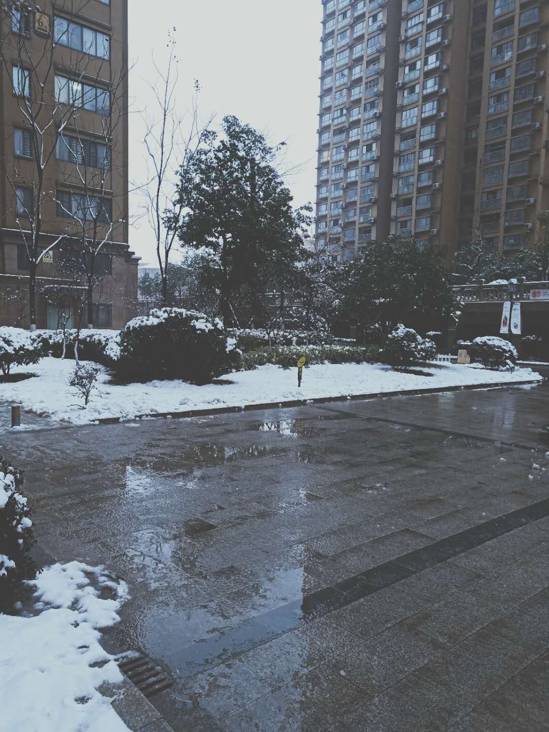 你所在的城市下雪堵不堵车?看人家这座城怎么做到下雪