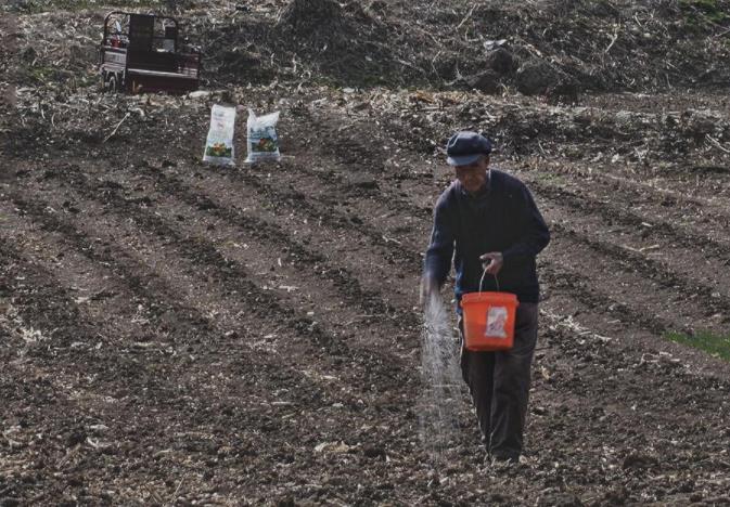 农民都会遇到这个问题,化肥撒在地里几天都不化,这是什么原因?