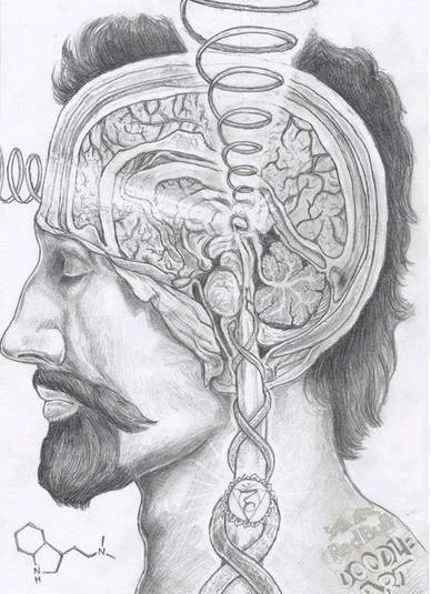 那么第三只眼是干什么用的?