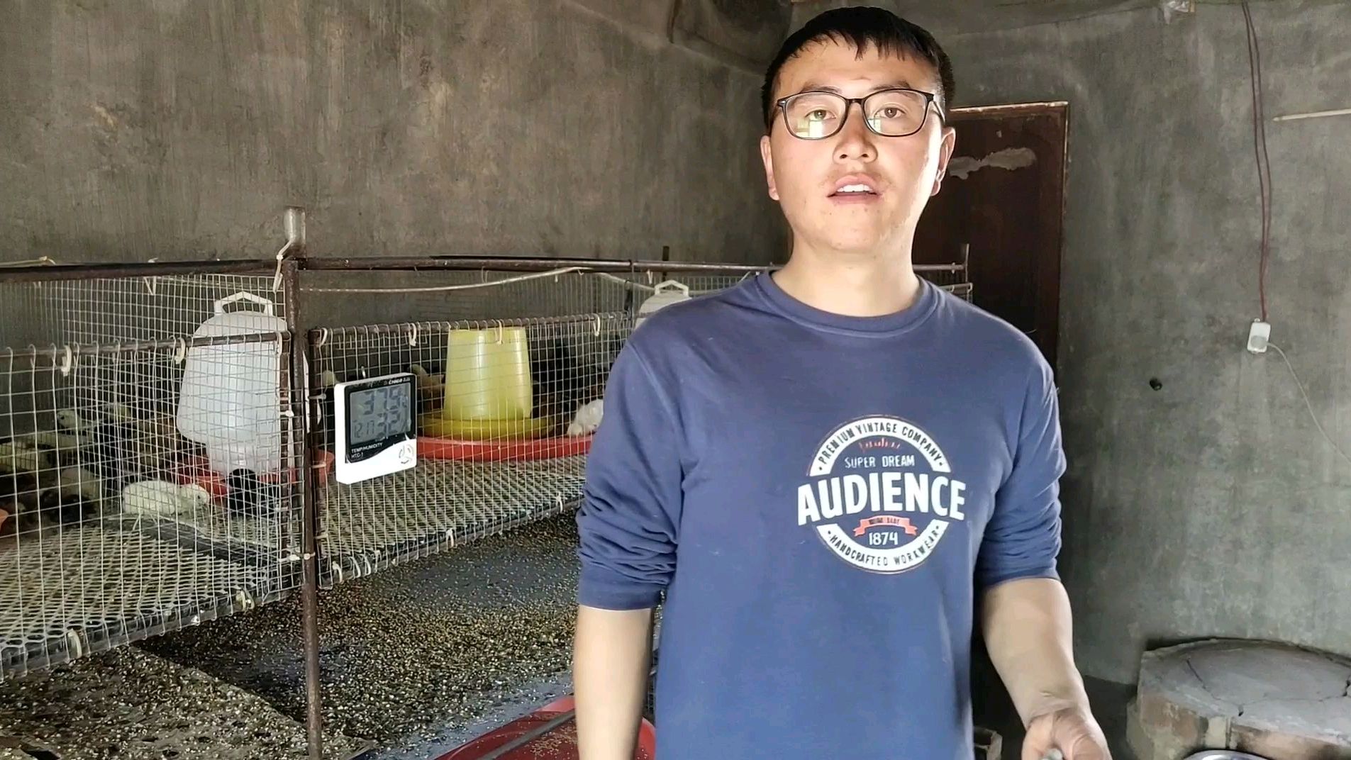 文山土鸡哥:小鸡啄肛啄毛啄脚,1元钱轻松搞定你学到了吗