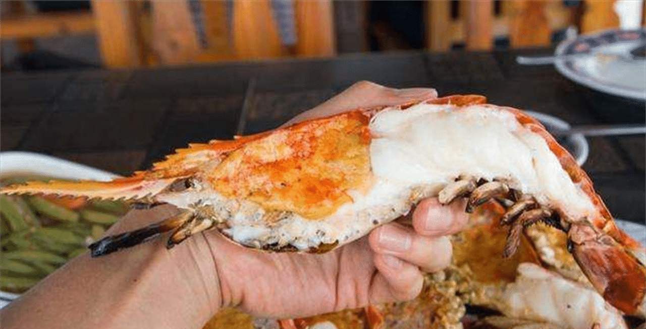 越南"虾王"泛滥成灾,欲请求中国吃货帮忙,国人:束手无策