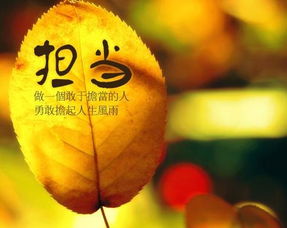 「今日作家」孙彦涛 /责任(小小说)