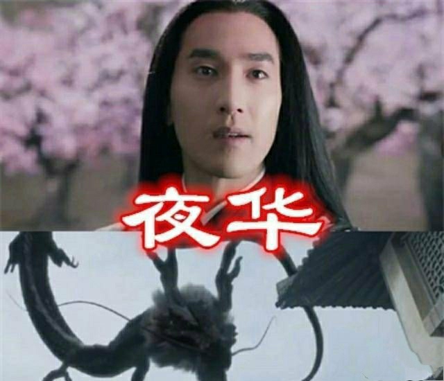 夜华真身是黑龙,白浅是九尾白狐,凤九是九尾红狐,东华原是此物