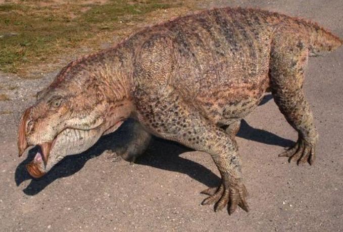 恐猪,一般叫做恐颌猪,是远古时期巨猪科下的一种,生活习性上类似于古