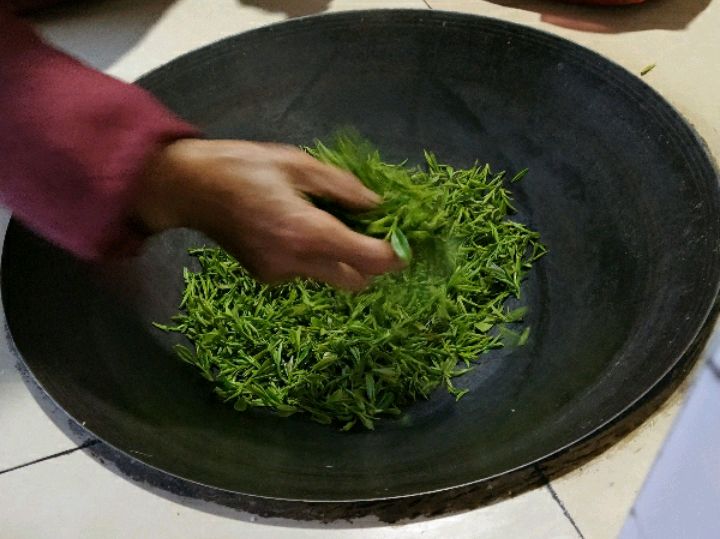 茶叶- 优质问答专区