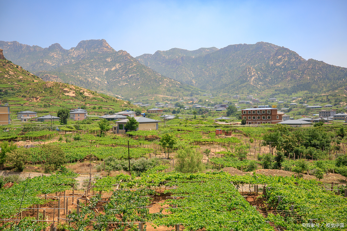 昌黎葡萄沟风景区图片