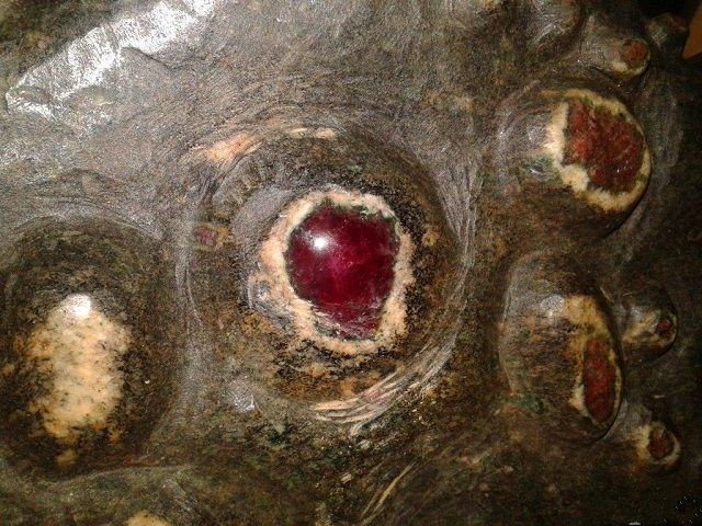 男子捡到块奇石,满身长着怪异的包,专家鉴定后乐坏了